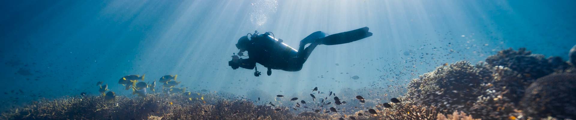 Master Diving Courses